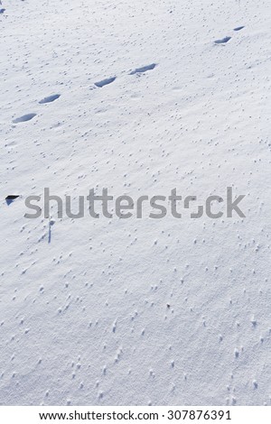 macro isolated texture of snow in the sunshine