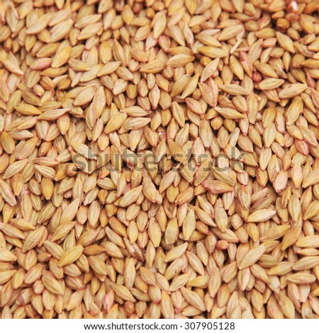 macro isolated texture piles selected grain for sowing in natural lighting