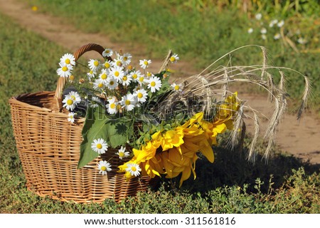 close-up of a basket of flowers sunflower, daisies and ears on the road