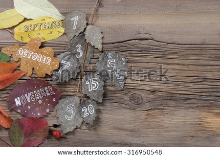 close-up of autumn leaves painted on a background wooden board studio