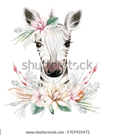 A trendy poster with a zebra. Watercolor cartoon zebra savanna animal illustration. Jungle savannah tropical exotic summer print.