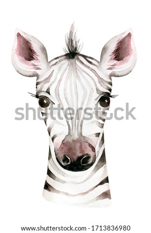 Africa watercolor savanna zebra animal. African Safari cute animals portrait character.Perfect for wallpaper print, packaging ,invitations, wedding design