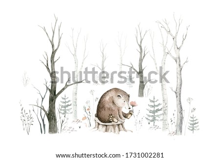 Woodland watercolor cute animals baby bear. Scandinavian owls on forest nursery poster design. Isolated charecter.
