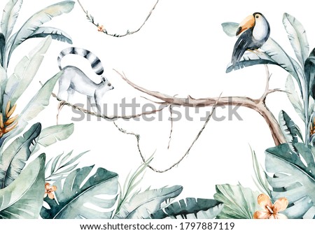 Watercolor jungle illustration of a lemur and toucan on white background. Madagascar fauna zoo exotic lemurs animal. Tropical design poster.