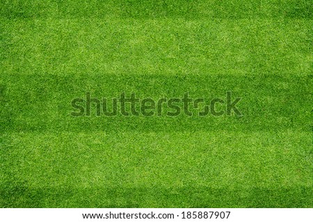 Football ground