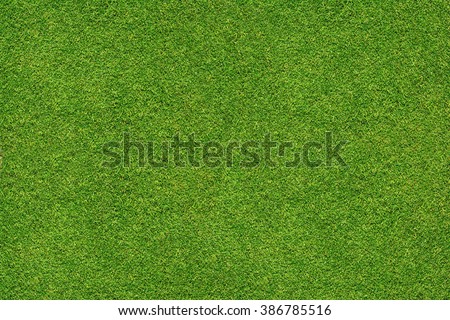 green grass texture 商業照片 © 