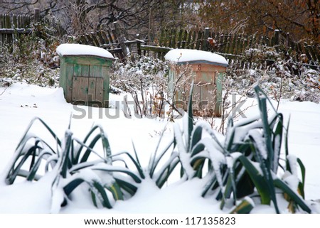 Vegetable garden with beehives covered with first snow. Winter garden.