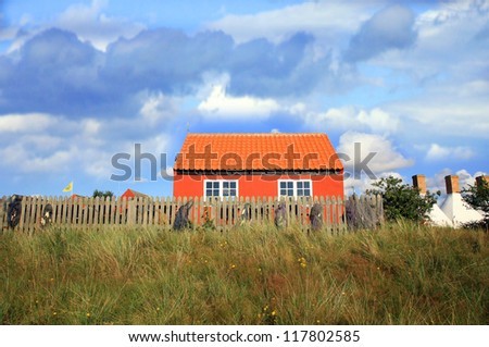 Typical red Scandinavian house on coastline in Snogebaek, early morning and violet flowers on dunes -  Bornholm, Denmark
