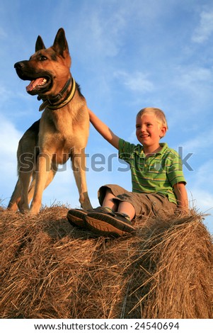 Little boy playing with the dog (Alsatian) on the meadow - summer in the country. Happiness, emotion