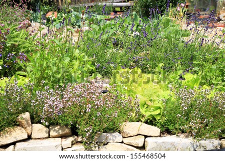 Spring in formal eco home garden. Organic cultivation of herbs and vegetables.