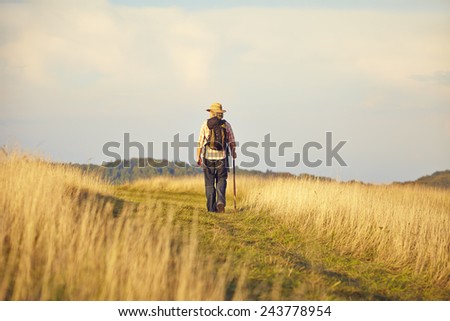 Man from behind walking on meadow