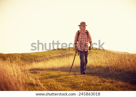 Man from behind runs in the late sun on a meadow