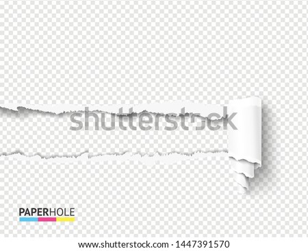 Realistic vector teared off paper hole with curly cardboard scroll and rip edges on transparent background. Empty card banner for advertisement or sale promo.