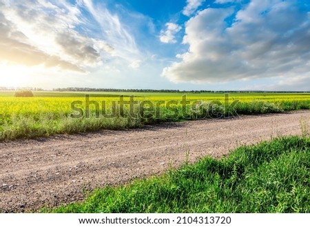 Similar – Image, Stock Photo Country road and path surrounded by fields with barley and rape, two trees standing at the roadside in front of a blue sky with little clouds and sunshine