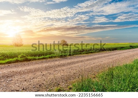 Image, Stock Photo Rural dirt road with trees. Beautiful countryside sunset