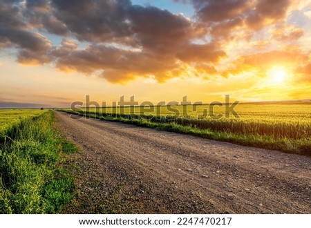 Similar – Image, Stock Photo Summer landscape with fields, meadows, lake and mountains. Road on the lakeside