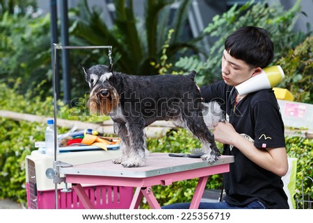 Hangzhou - September 21: hangzhou sports park, a man give black schnauzer dog grooming, on September 21, 2014 in hangzhou.