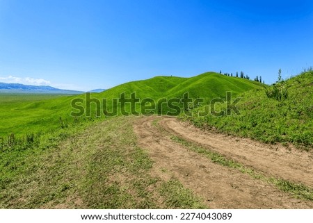 Similar – Image, Stock Photo Landscape with dirt road between blooming sunflower fields meadow on summer day in sunset rays. Agriculture, fields and pastures. Nature design. Agriculture of production of sunflower oil and seeds