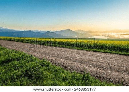 Similar – Image, Stock Photo Rape field with water tower and trees