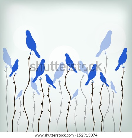 paradise birds on the branches
