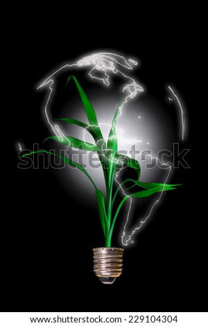 Light bulb with plant growing in the form of the globe. Concept of Eco technology