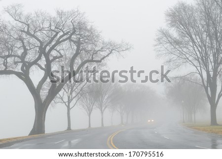 Road in foggy winter morning