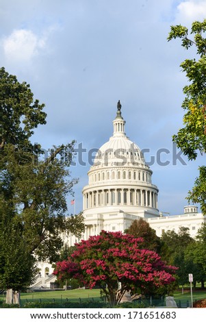 Capitol - Washington DC, USA