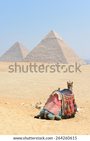 Giza Pyramids - Cairo, Egypt