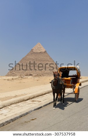 Tourist chariot in Giza Pyramids - Cairo, Egypt