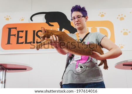 MILAN, ITALY - JUNE 7: Beautiful cat with its owner at Quattrozampeinfiera, event and activities dedicated to dogs, cats and their owner on JUNE 7, 2014 in Milan.