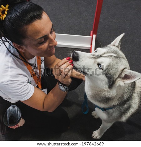 MILAN, ITALY - JUNE 7: Dog and trainer at Quattrozampeinfiera, event and activities dedicated to dogs, cats and their owner on JUNE 7, 2014 in Milan.
