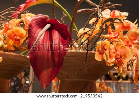 MILAN, ITALY - SEPTEMBER 13: Detail of flowers at HOMI, home international show and point of reference for all those in the sector of interior design on SEPTEMBER 13, 2014 in Milan.