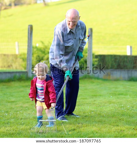 Happy grandfather, senior active man, working in the garden removing old grass together with his toddler granddaughter, adorable little child on a sunny day