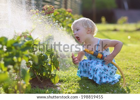 Little child, adorable blonde toddler girl, watering the plants, beautiful hortensia flowers, from hose spray in the garden at the backyard of the house on a sunny summer evening