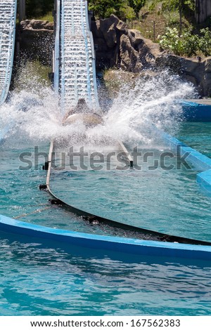GEORGIA - JULY 03: Water game in a hollowed trunk at an amusement park \