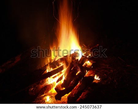 Huge bright fire close-up