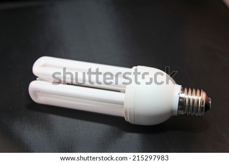 Compact Fluorescent Lamps, energy saving light bulbs.