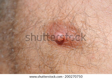 Male nipple on the chest with gray hair closeup