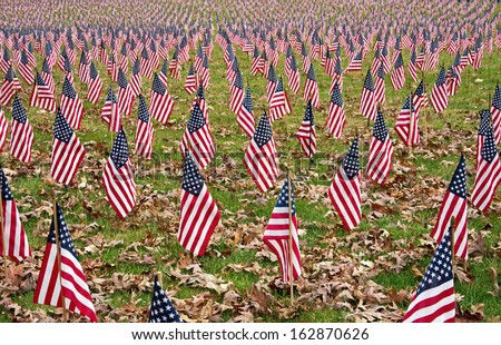 Multitude of American flags honor our veterans on Veterans Day.