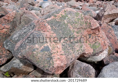 Gneiss rocks dot the coast lines of Cape Breton Highlands National Park.  Some are infused with dykes of granite.