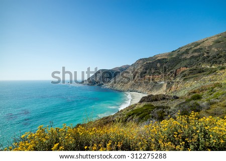 Beautiful coastal view of paradise beach on the pacific coast highway route 1 in California, USA, surrounded by beautiful yellow flowers