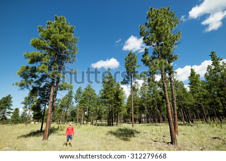 Man standing in beautiful forest scene in the early morning taking in the sun and re-energizing in the tranquil scene
