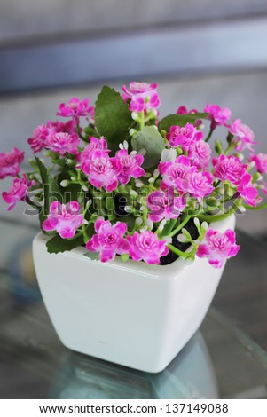 Plastic flower - pink flowers.