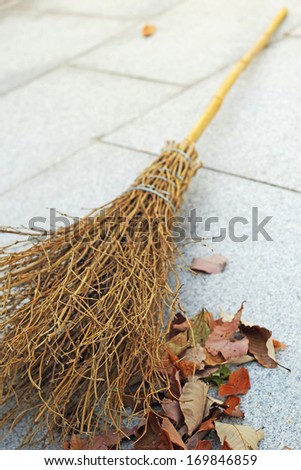 Broom and a pile of leaves