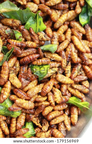 fried silk worms in the market
