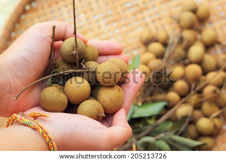 Longan fruit in the basket