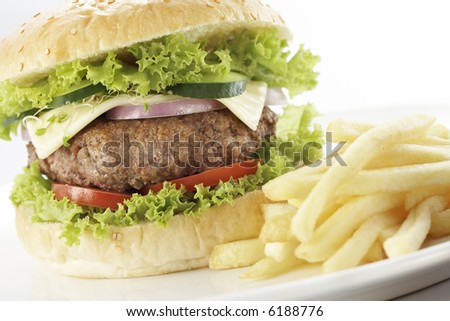 delicious cheeseburger with tomato, onion, pickles, lettuce and fries, swallow depth of field.