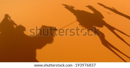 A couple of camel shadows projected over Erg Chebbi red sand dunes sea, Morocco