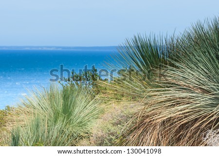 the sea seen from a with grasses-covered mountain slope at Deep Creek Conservation Park on the Fleurieu Peninsula in South Australia