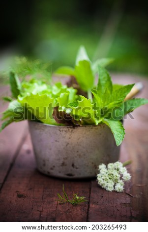Fresh lettuce in rustic cup on a wooden background